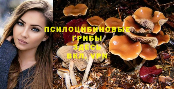 винт Елизово