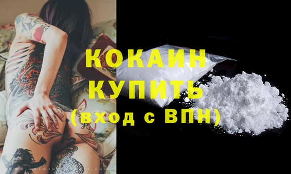 винт Елизово