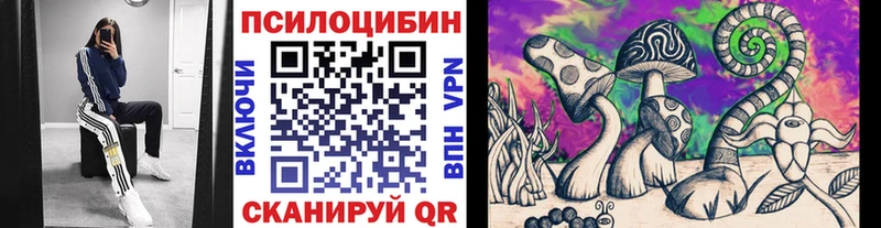 Купить  Афипский  Псилоцибиновые грибы GOLDEN TEACHER 